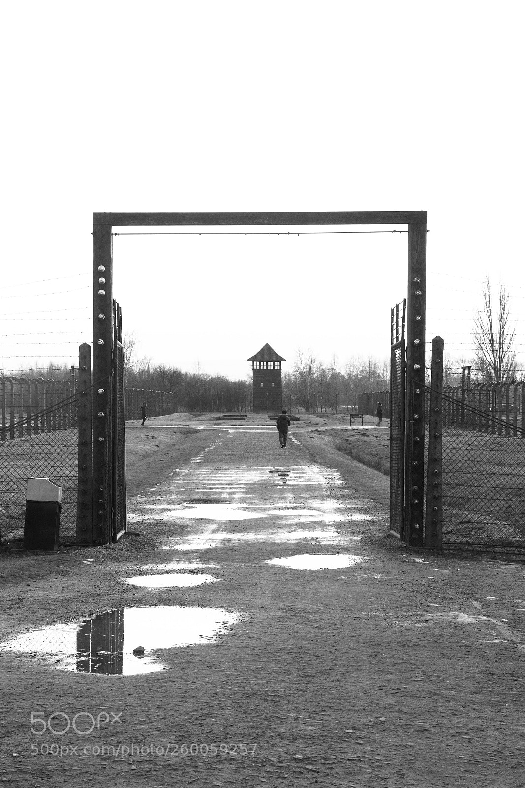 Canon EOS 60D sample photo. Concentration camp fence photography