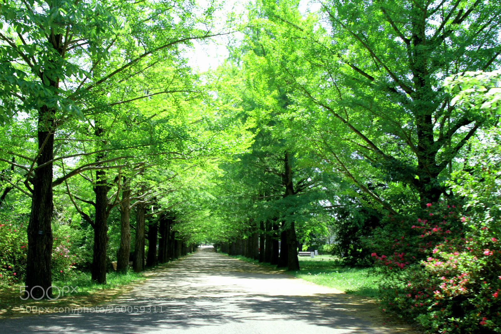 Canon EOS 7D sample photo. Just feel it photography