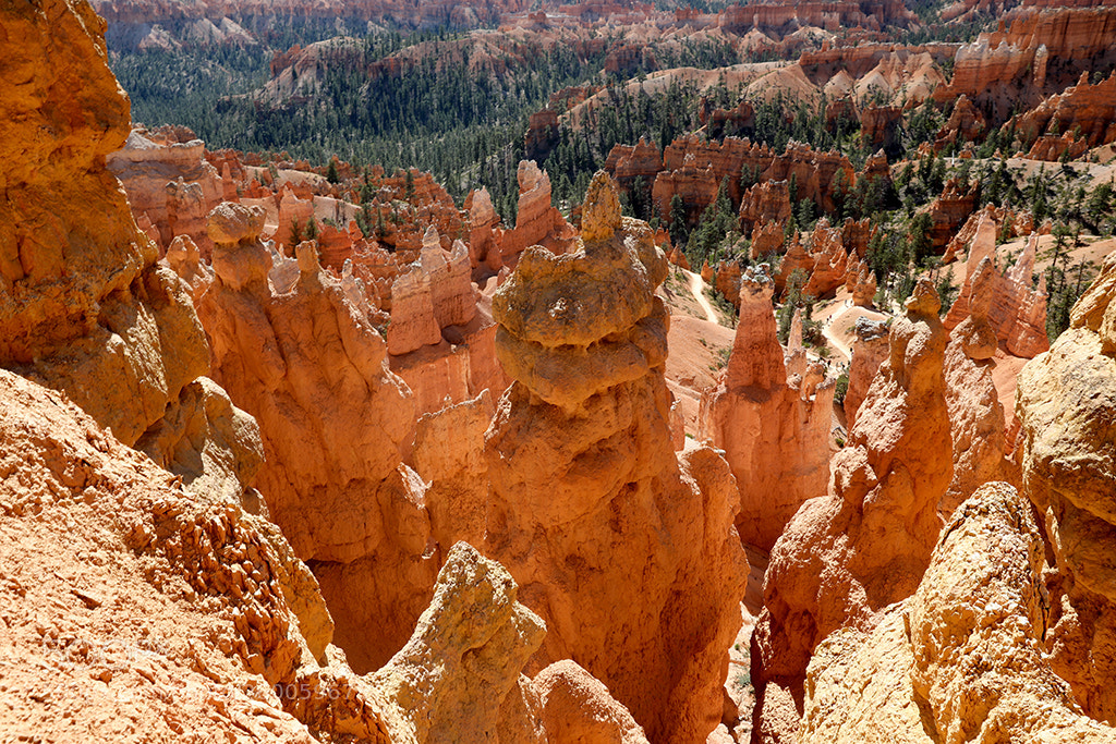 Canon EOS 5D Mark IV sample photo. More bryce canyon photography