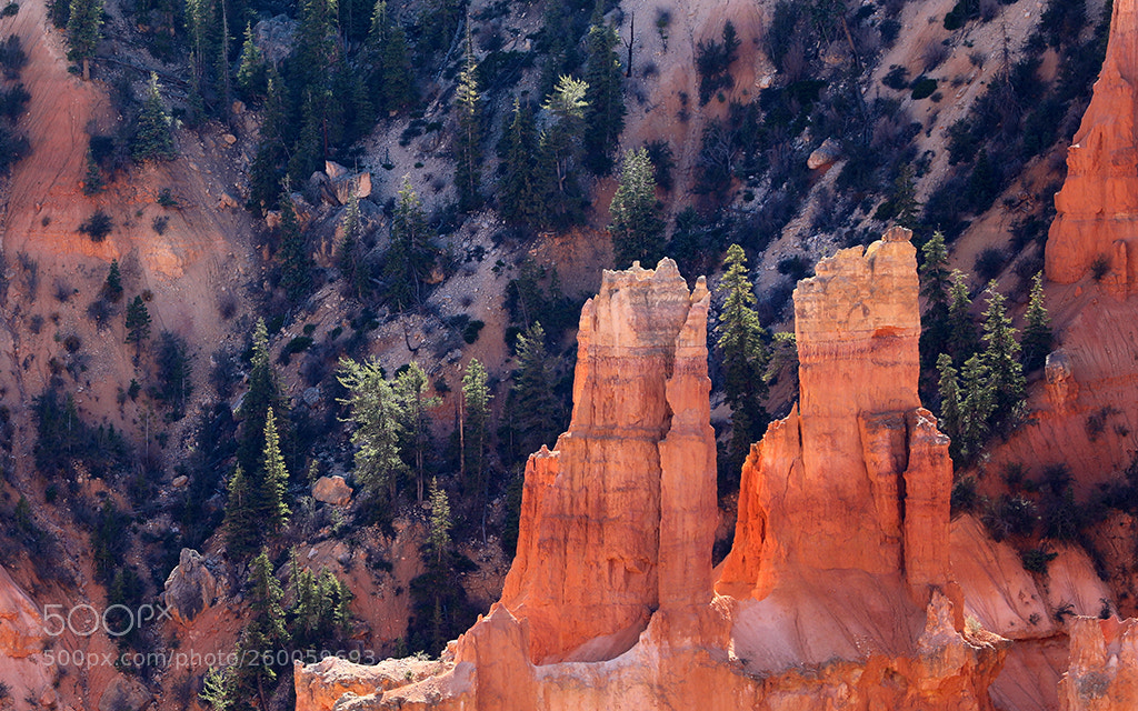 Canon EOS 5D Mark IV sample photo. Another from, bryce canyon photography