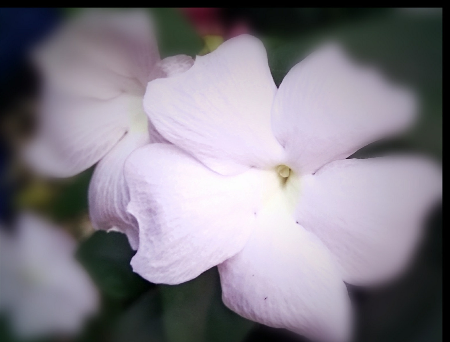 Xiaomi MI MAX sample photo