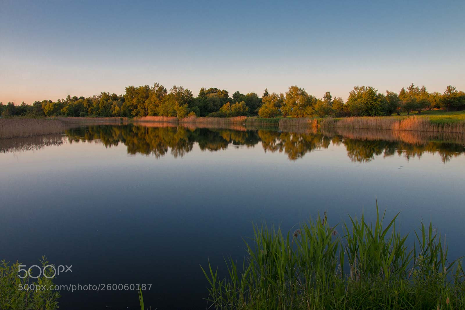 Canon EOS 70D sample photo. The river photography