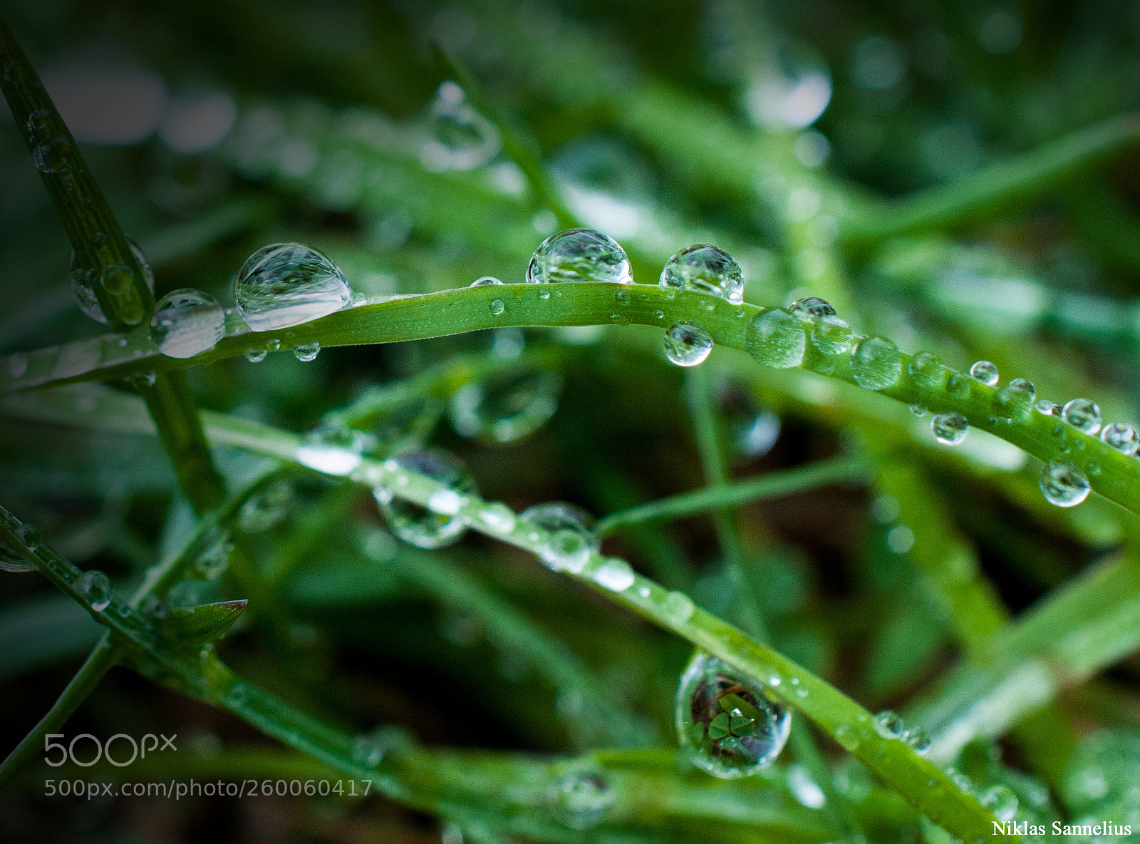 Nikon D300 sample photo. En vattendroppe med en photography