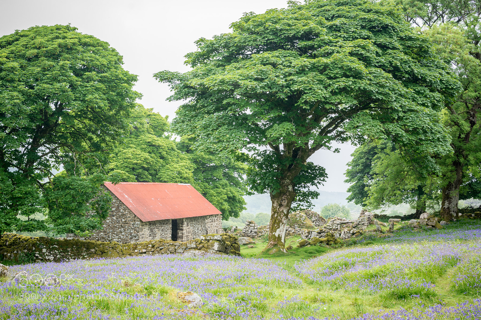 Nikon D7100 sample photo. Emsworthy barn in the photography