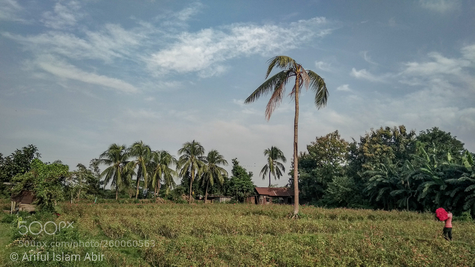 Xiaomi Redmi Note 4 sample photo. Untitled photography