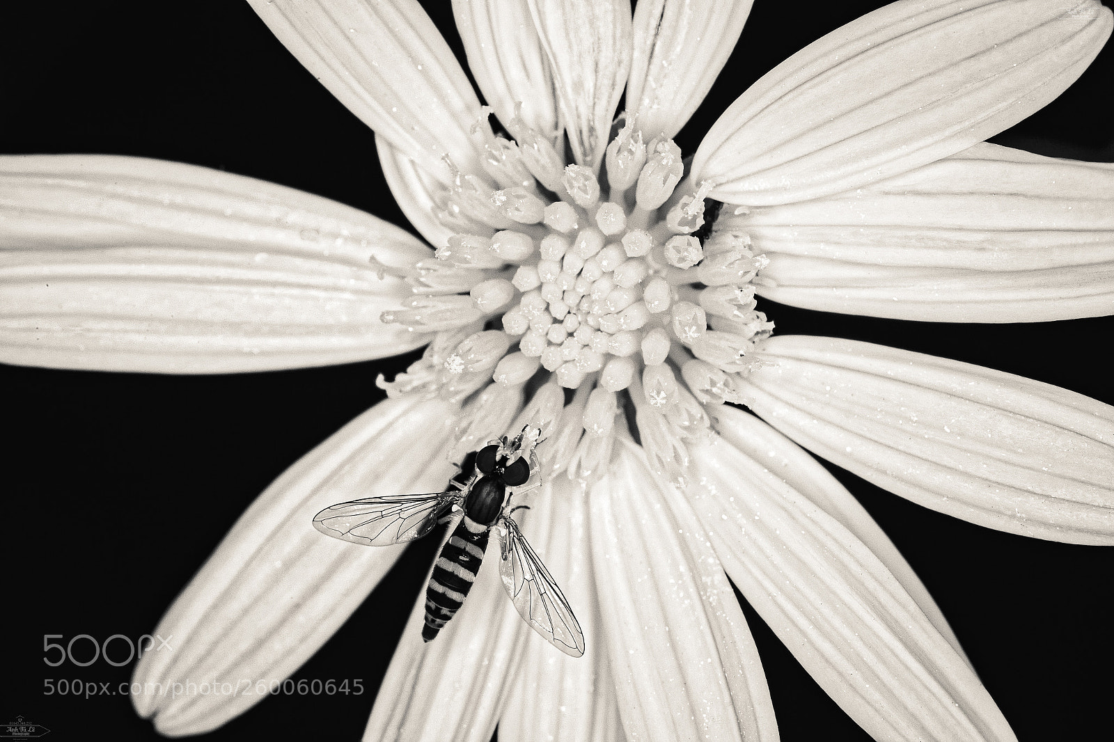 Canon EOS 6D sample photo. Untitled photography