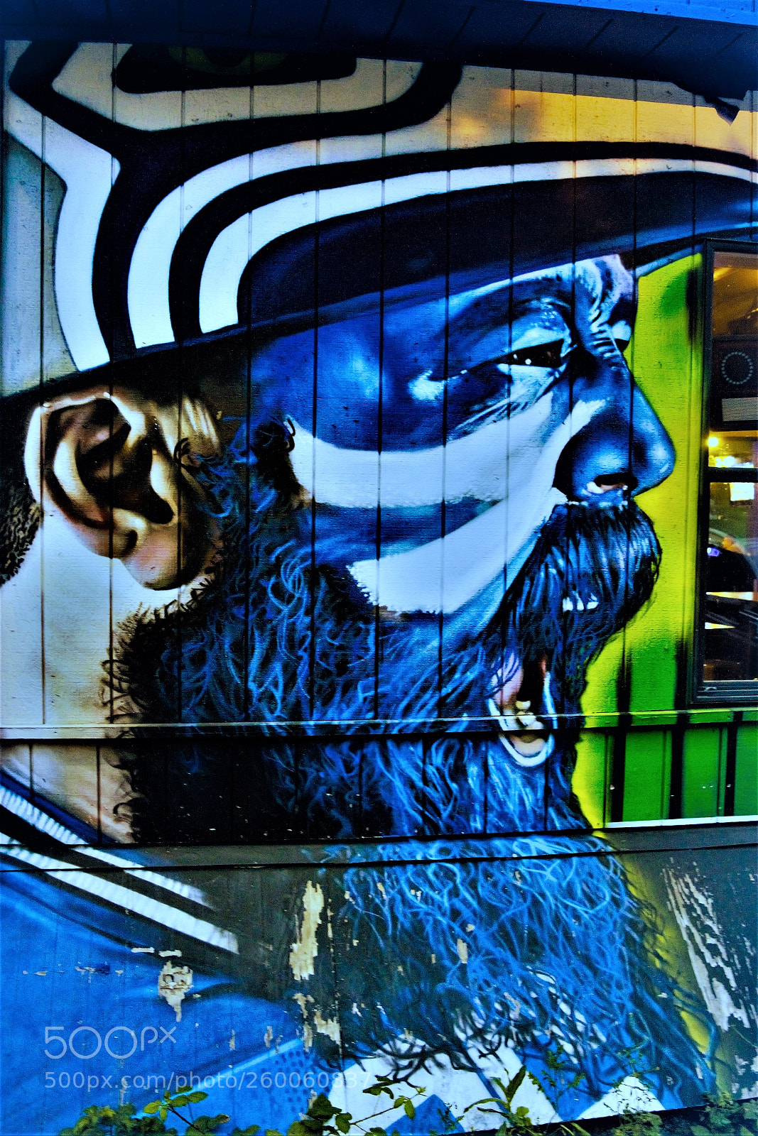 Nikon D3200 sample photo. Seahawks fan painted outside photography