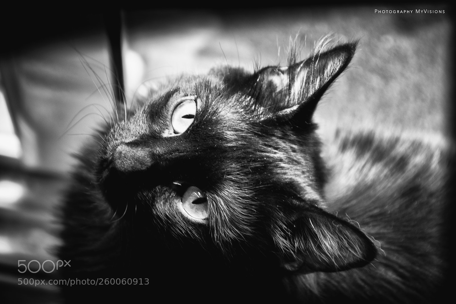 Nikon D7100 sample photo. Te veo photography
