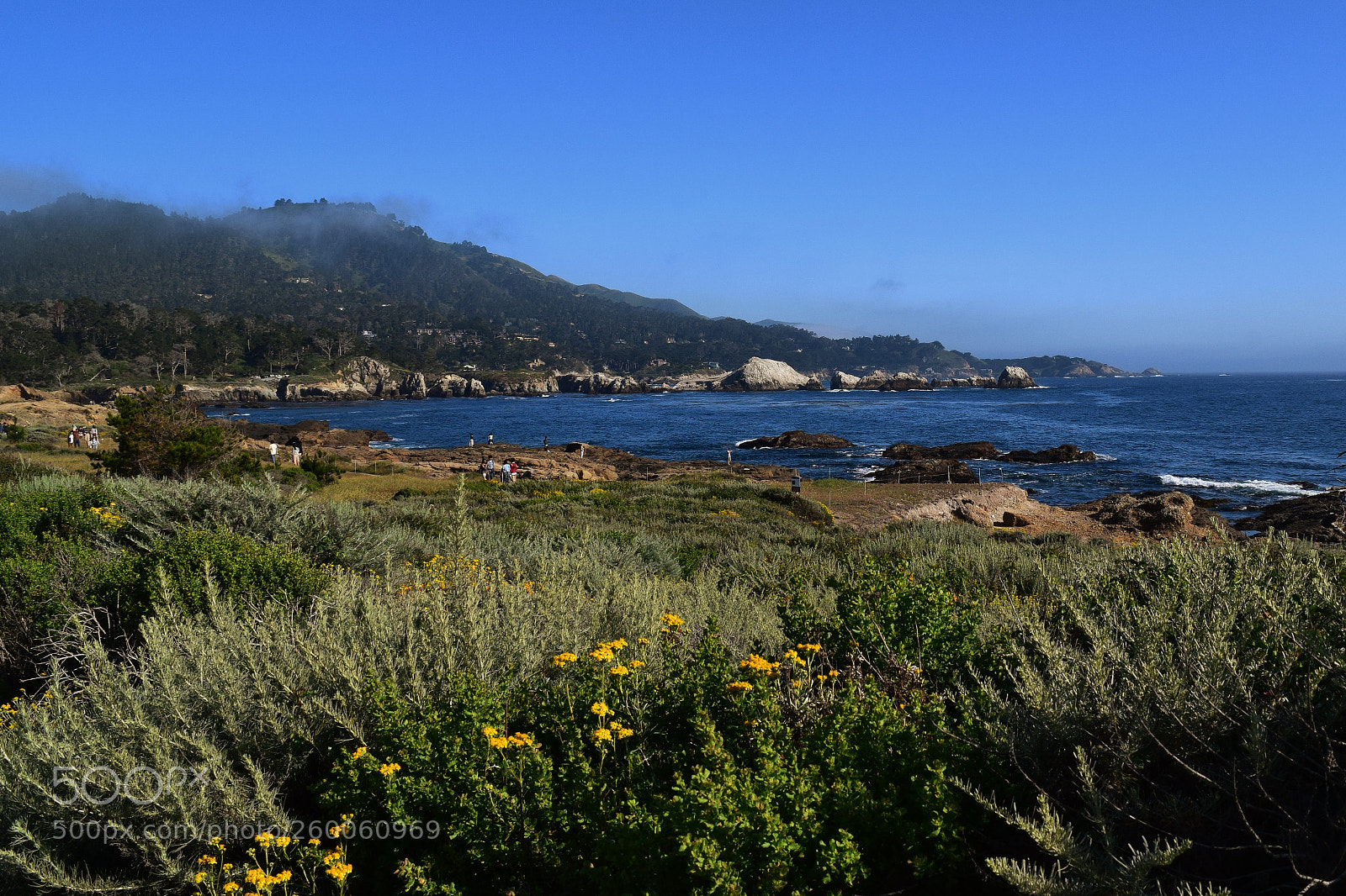Nikon D3300 sample photo. Point lobos on scenic photography