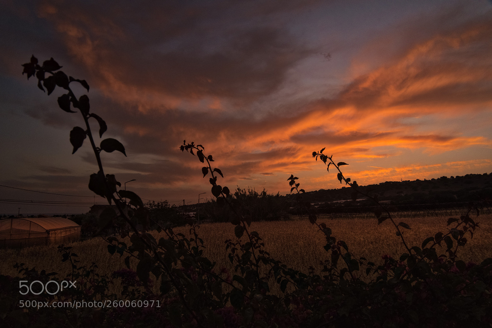 Nikon D750 sample photo. Sunset, marina di ragusa photography