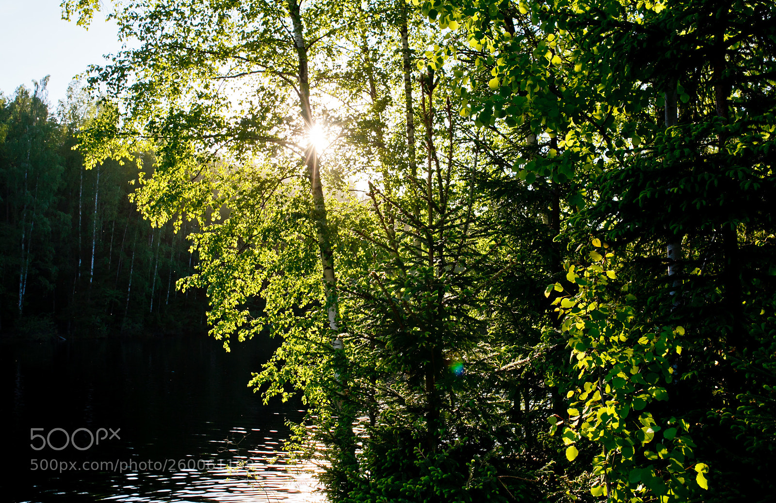 Canon EOS 5D Mark II sample photo. Sun photography