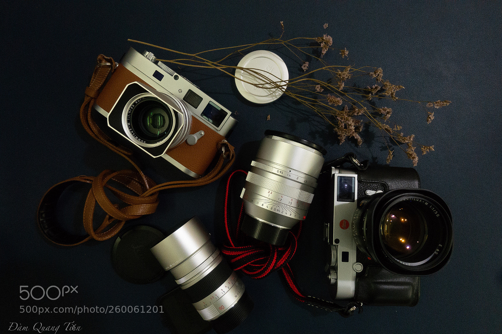 Sony DSC-RX100M5 sample photo. Taken by sony rx100mv photography