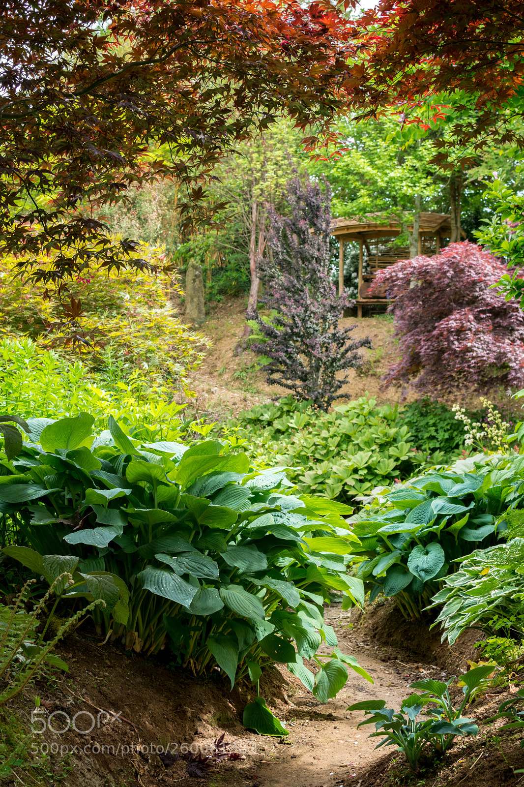 Nikon D7100 sample photo. Wildside garden, devon photography