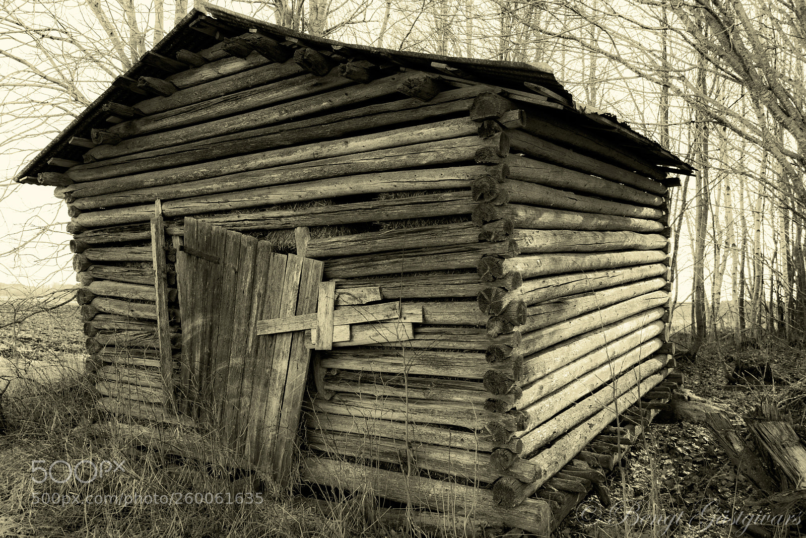 Nikon D750 sample photo. Barn photography