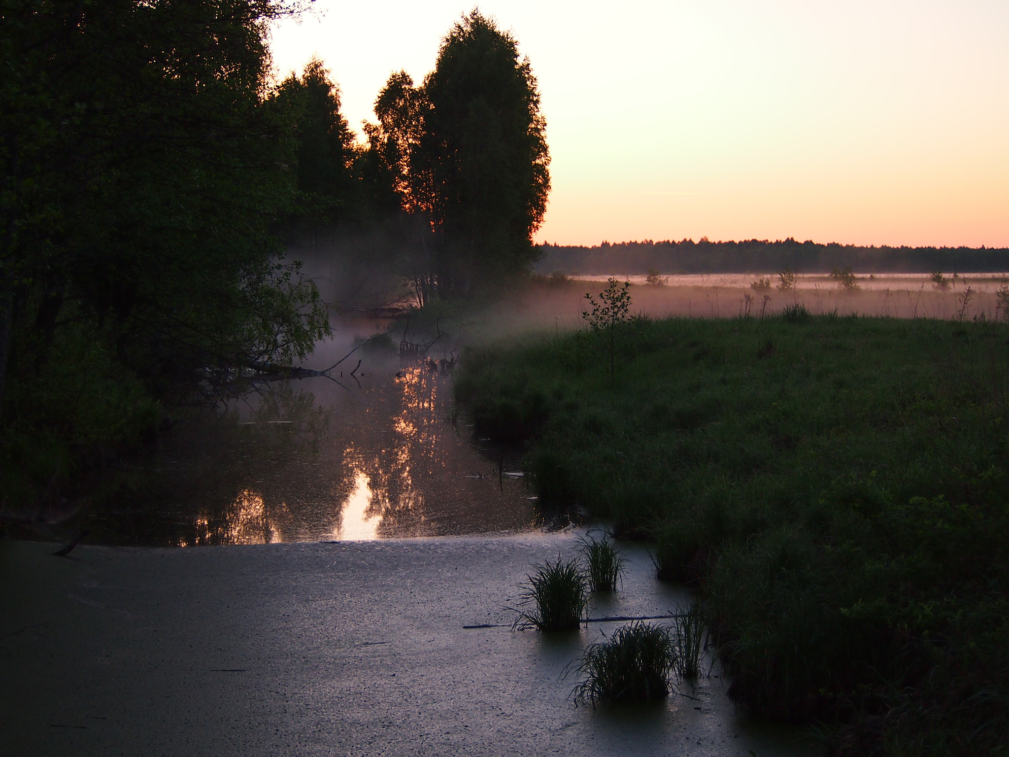 Olympus PEN E-PM1 sample photo. A swamp ditch. photography