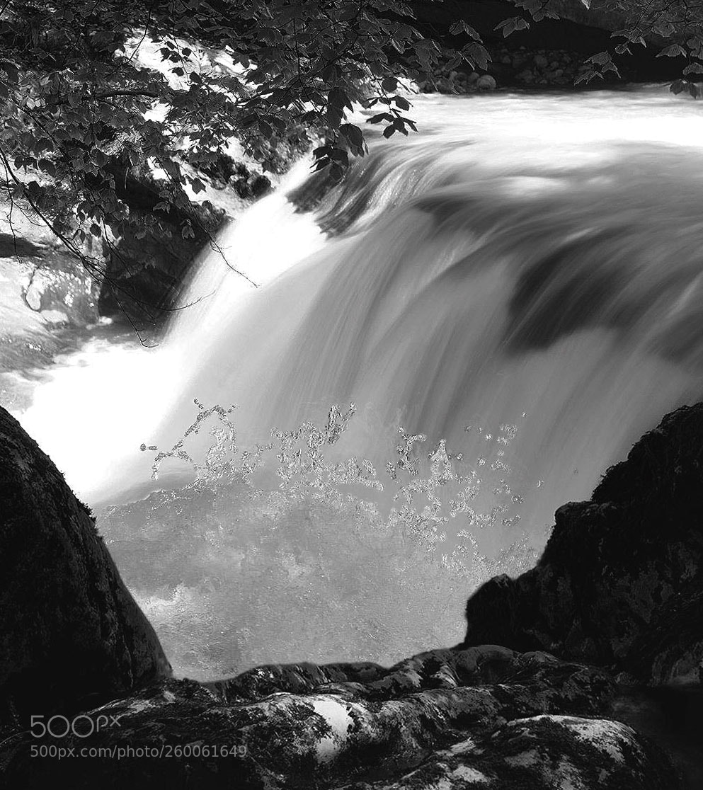 Sony ILCA-77M2 sample photo. Splash photography