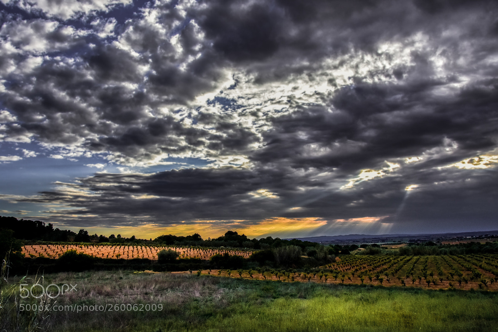 Nikon D7200 sample photo. Al atardecer photography