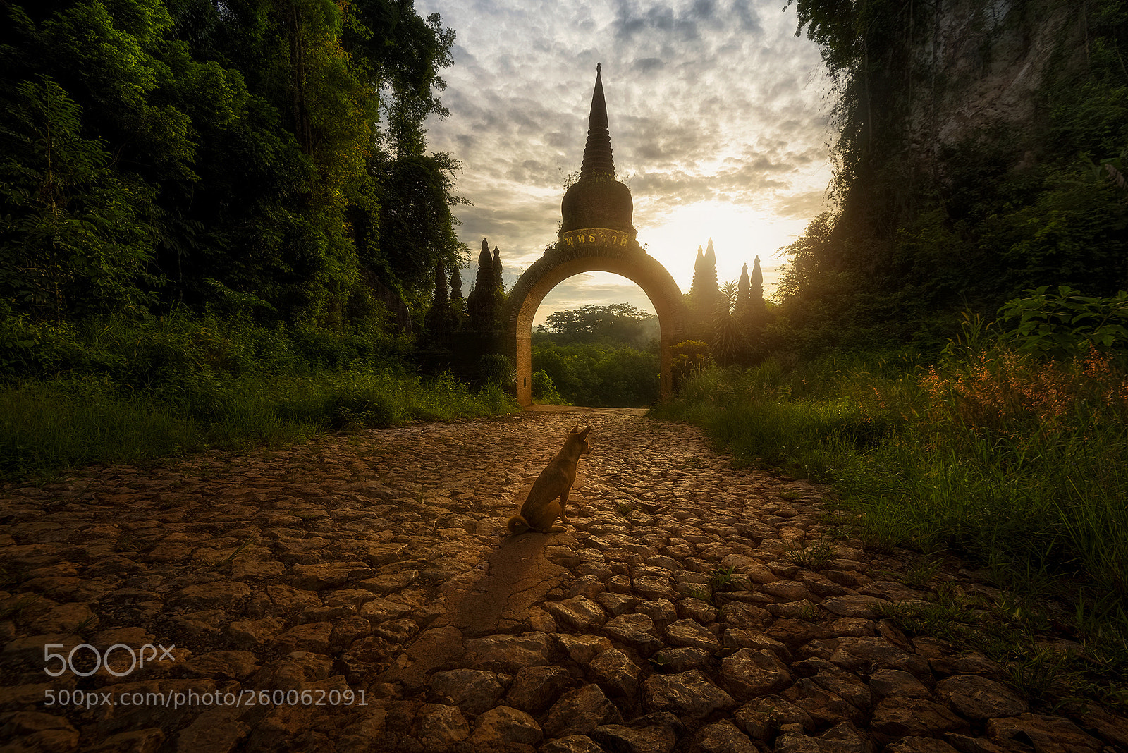 Nikon D810 sample photo. Khao na nai luang photography