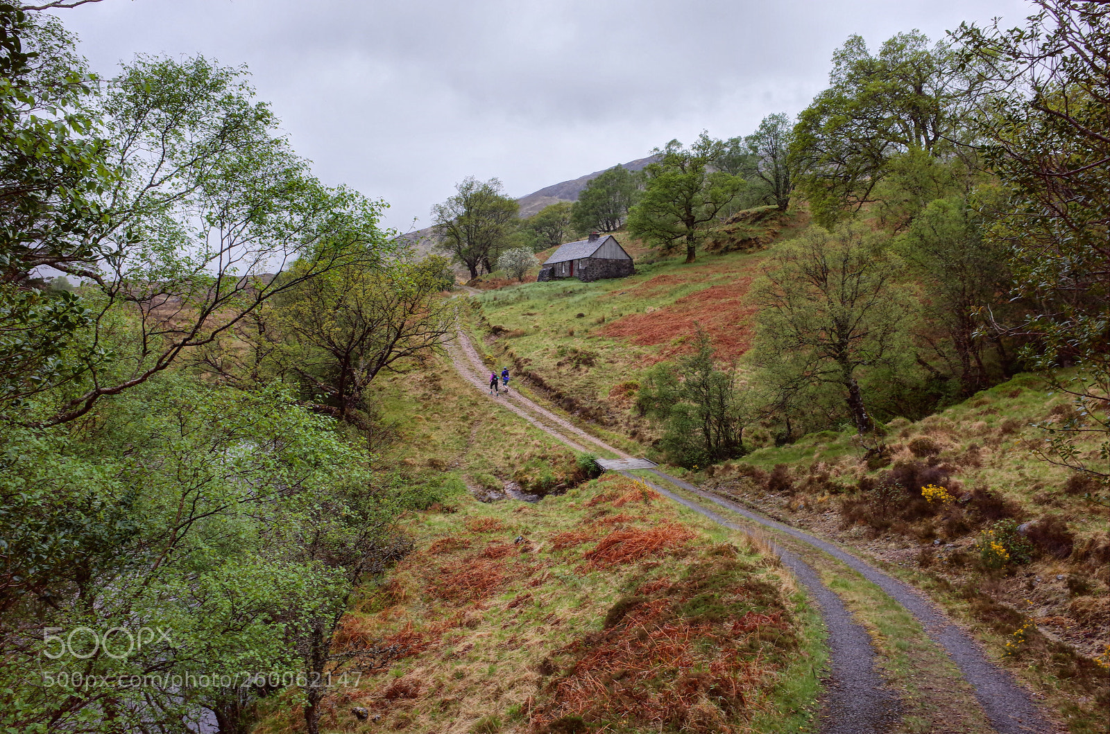 Ricoh GR II sample photo. Scotland’s countryside photography