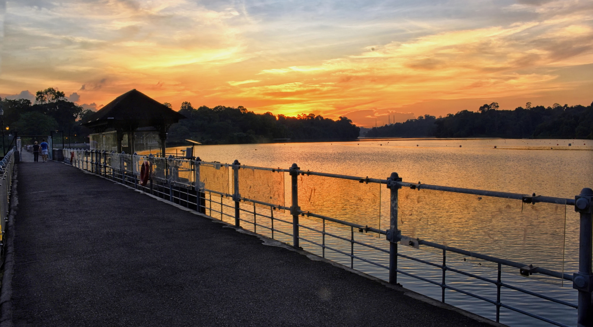Nikon D7200 sample photo. Macritchie reservoir photography