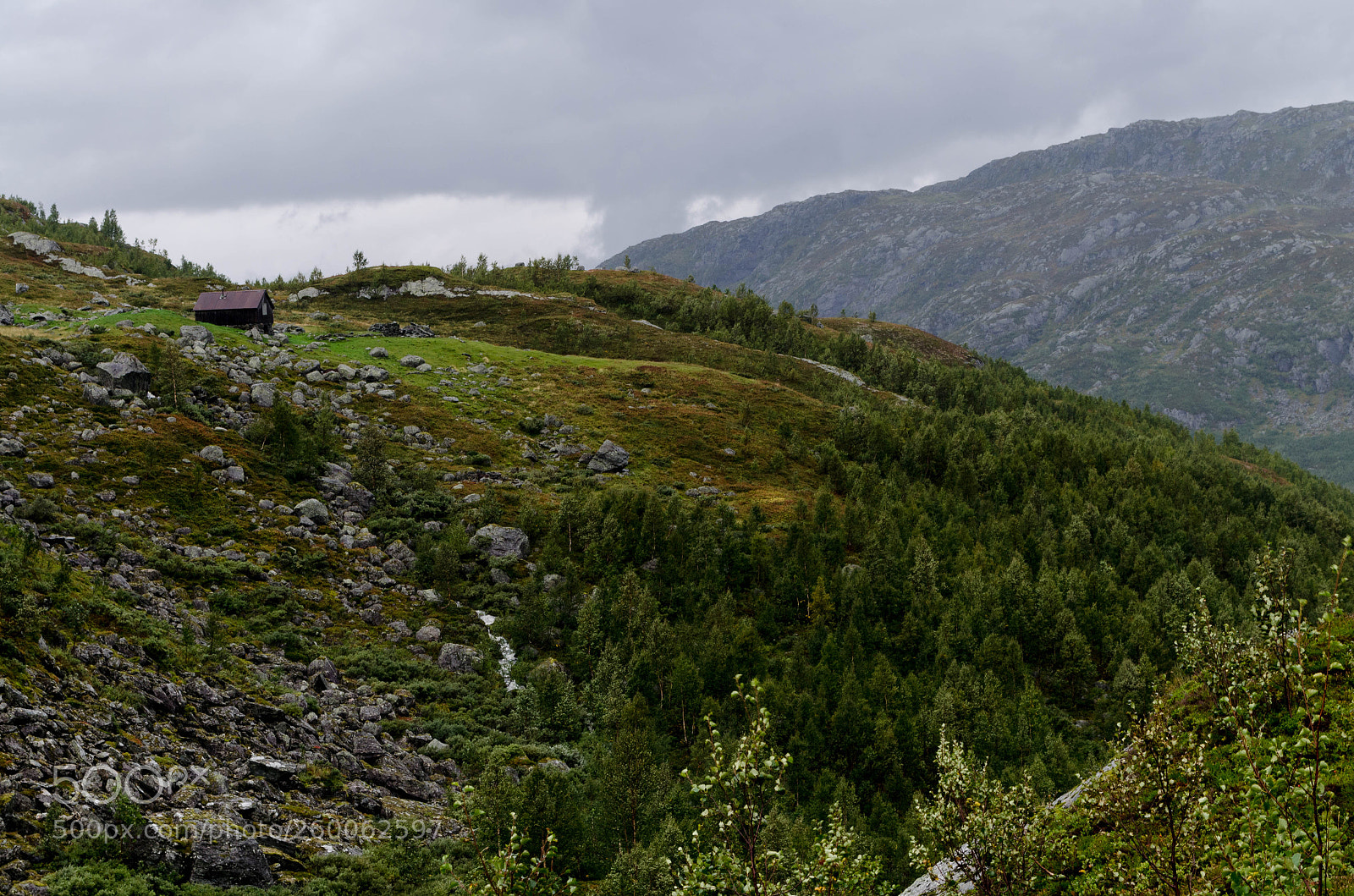 Nikon D5100 sample photo. Beauty of norway ii photography