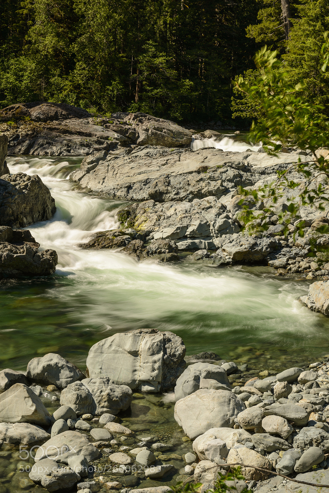 Nikon D800 sample photo. Kennedy river rapids photography