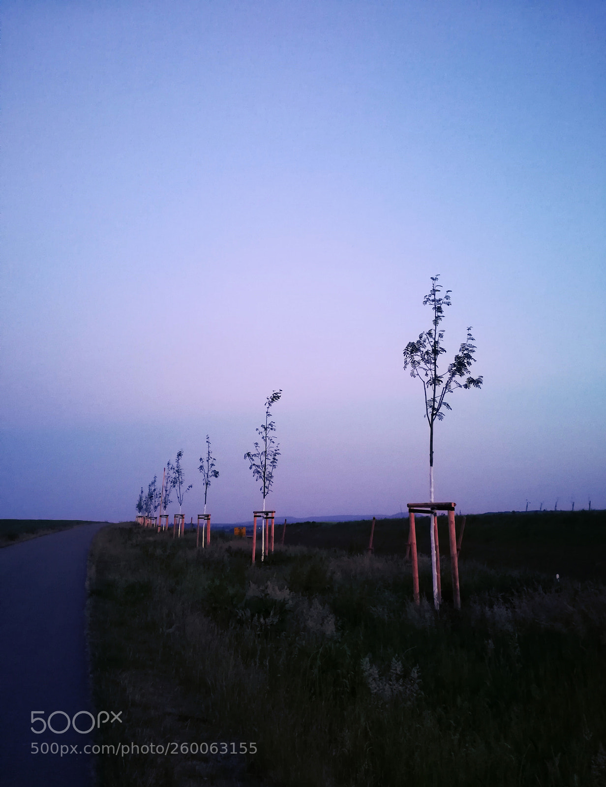 HUAWEI P10 lite sample photo. Untitled photography