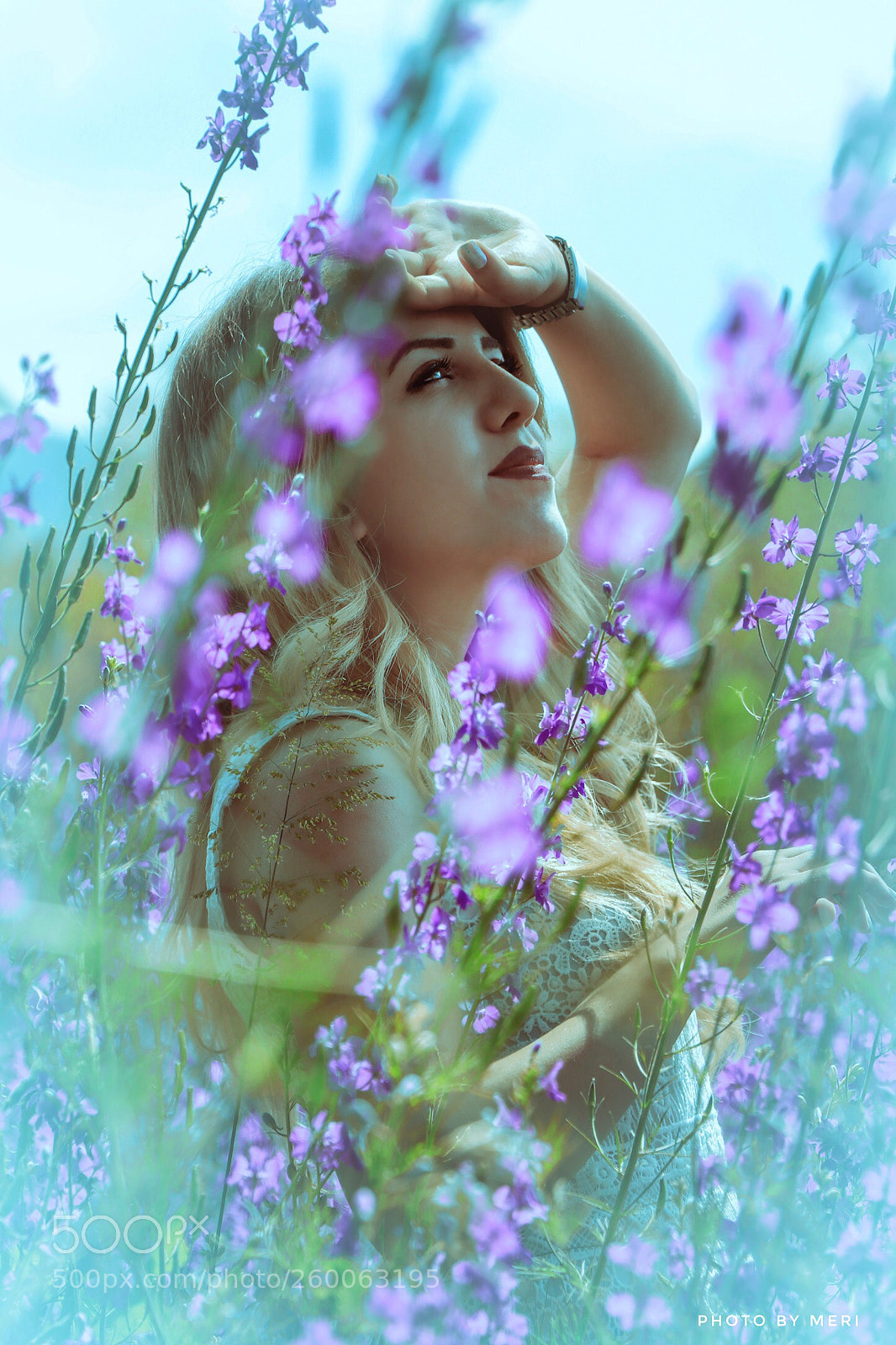 Canon EOS 80D sample photo. Untitled photography
