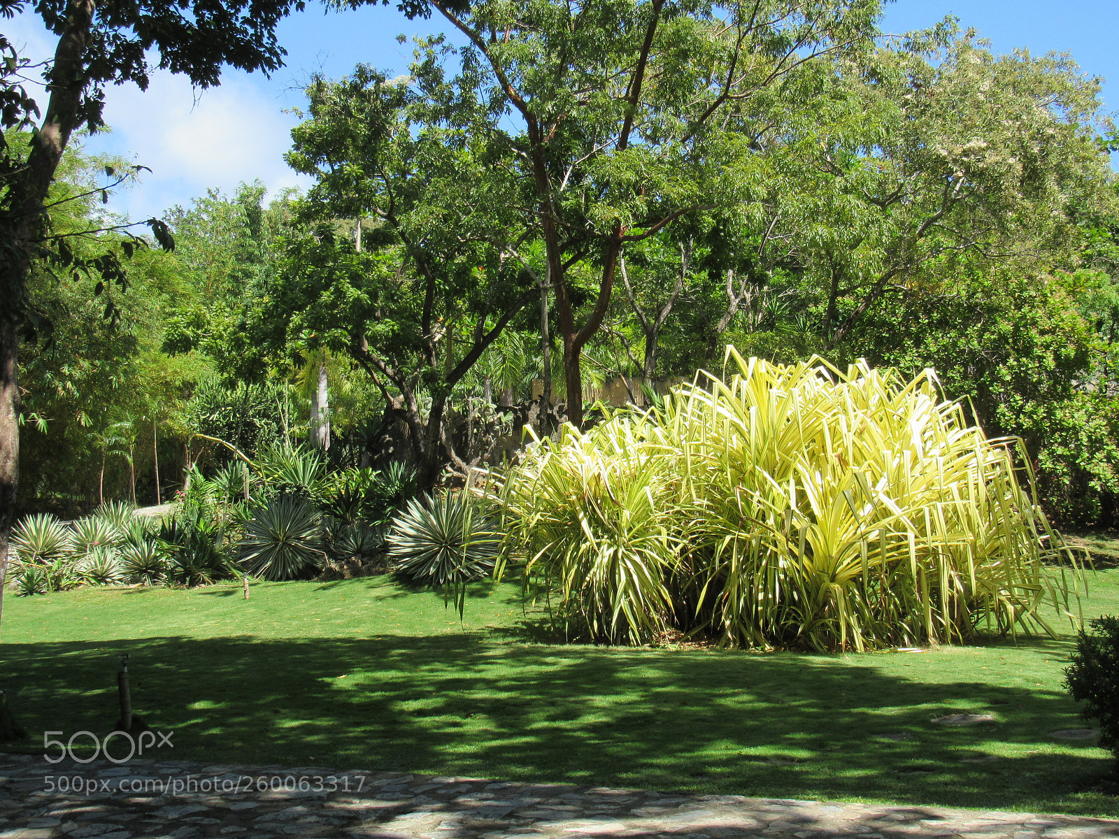 Canon PowerShot SX530 HS sample photo. Img photography