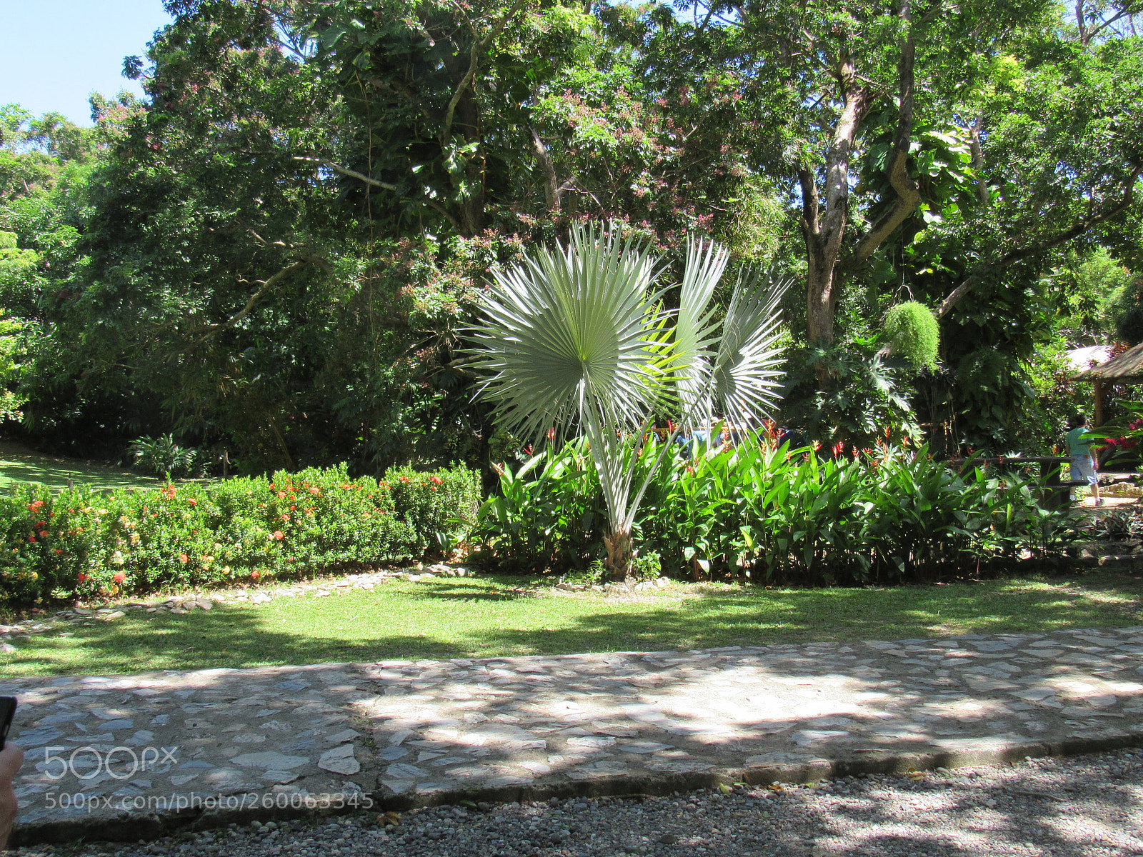 Canon PowerShot SX530 HS sample photo. Img photography