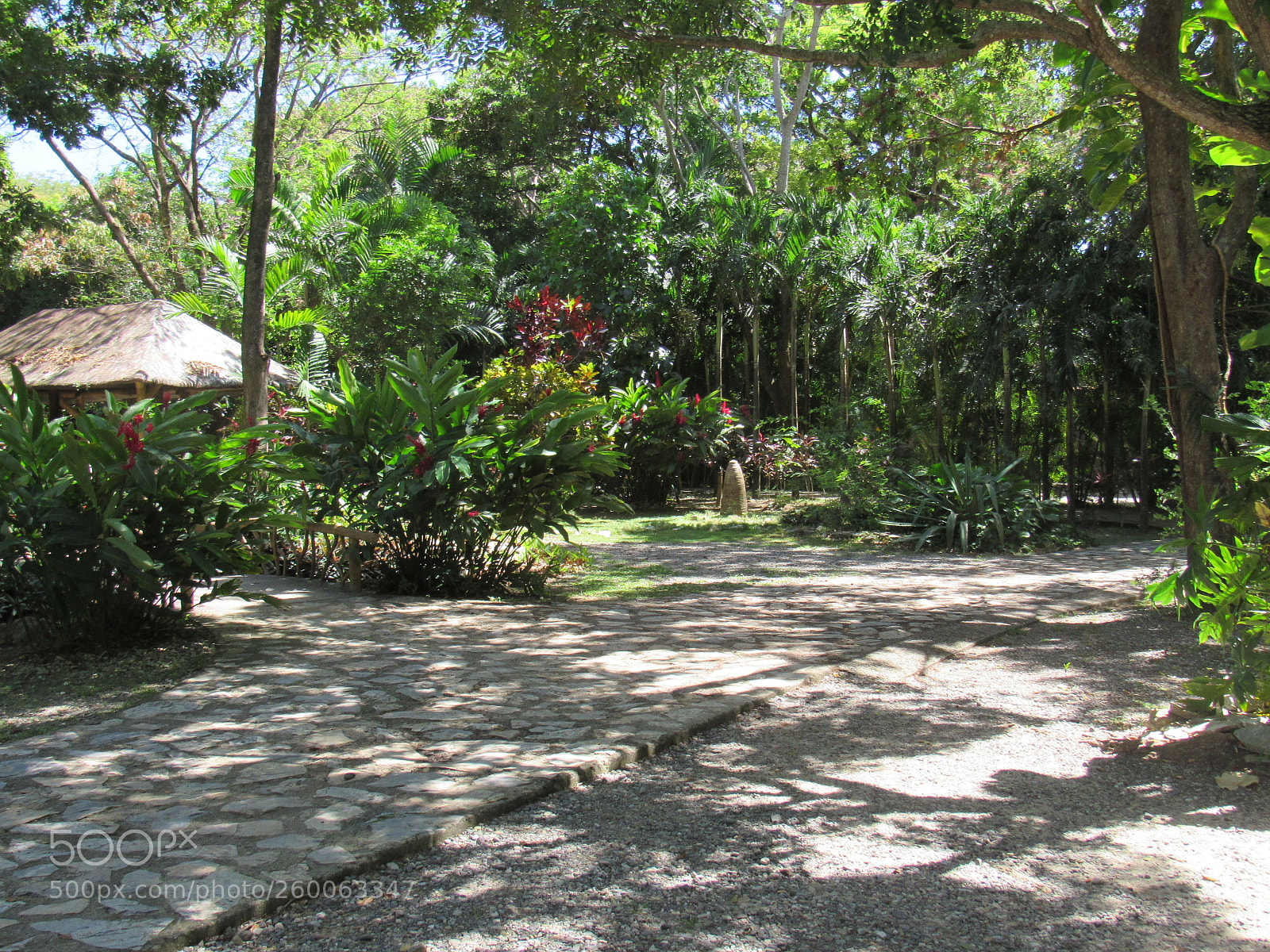 Canon PowerShot SX530 HS sample photo. Img photography