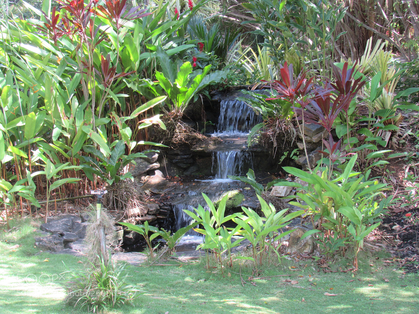 Canon PowerShot SX530 HS sample photo. Img photography