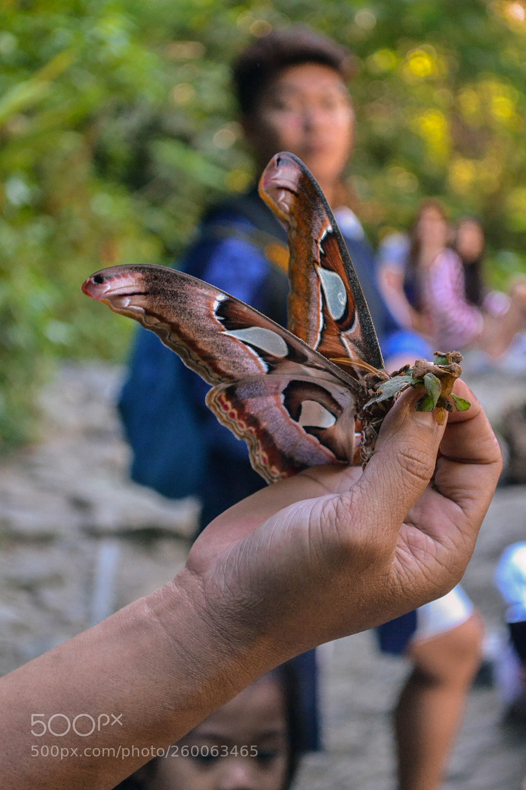 Nikon D3100 sample photo. Untitled photography