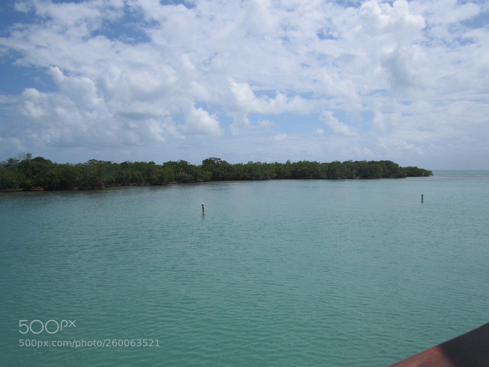 Canon PowerShot SX530 HS sample photo. Img photography