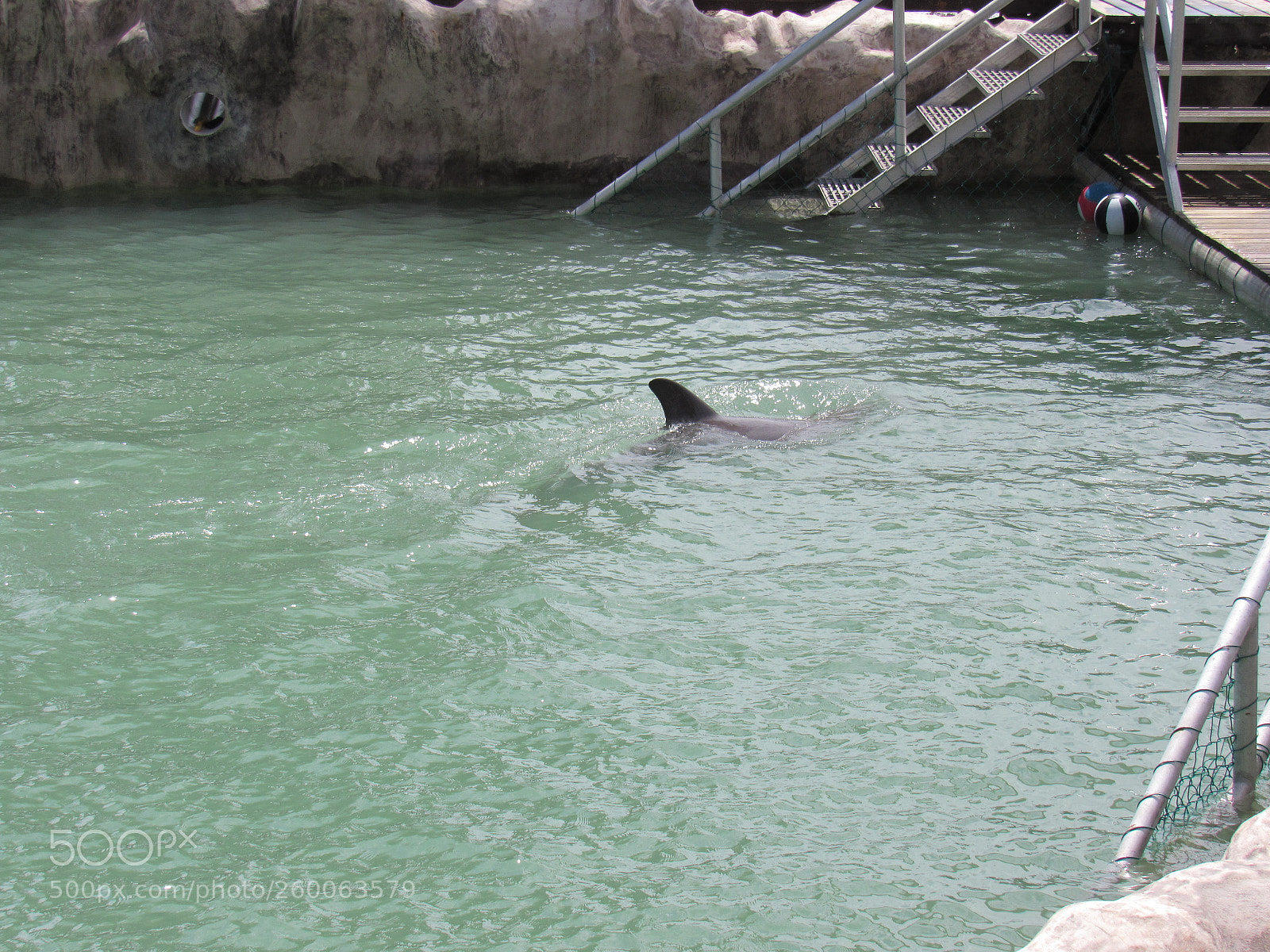 Canon PowerShot SX530 HS sample photo. Img photography