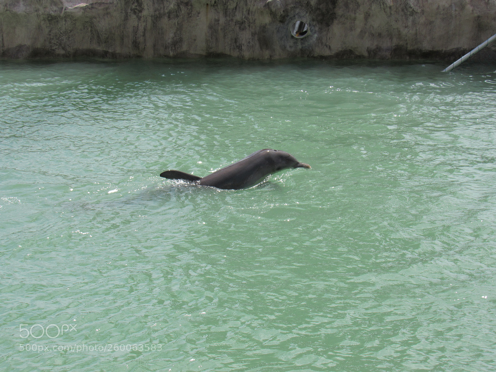 Canon PowerShot SX530 HS sample photo. Img photography