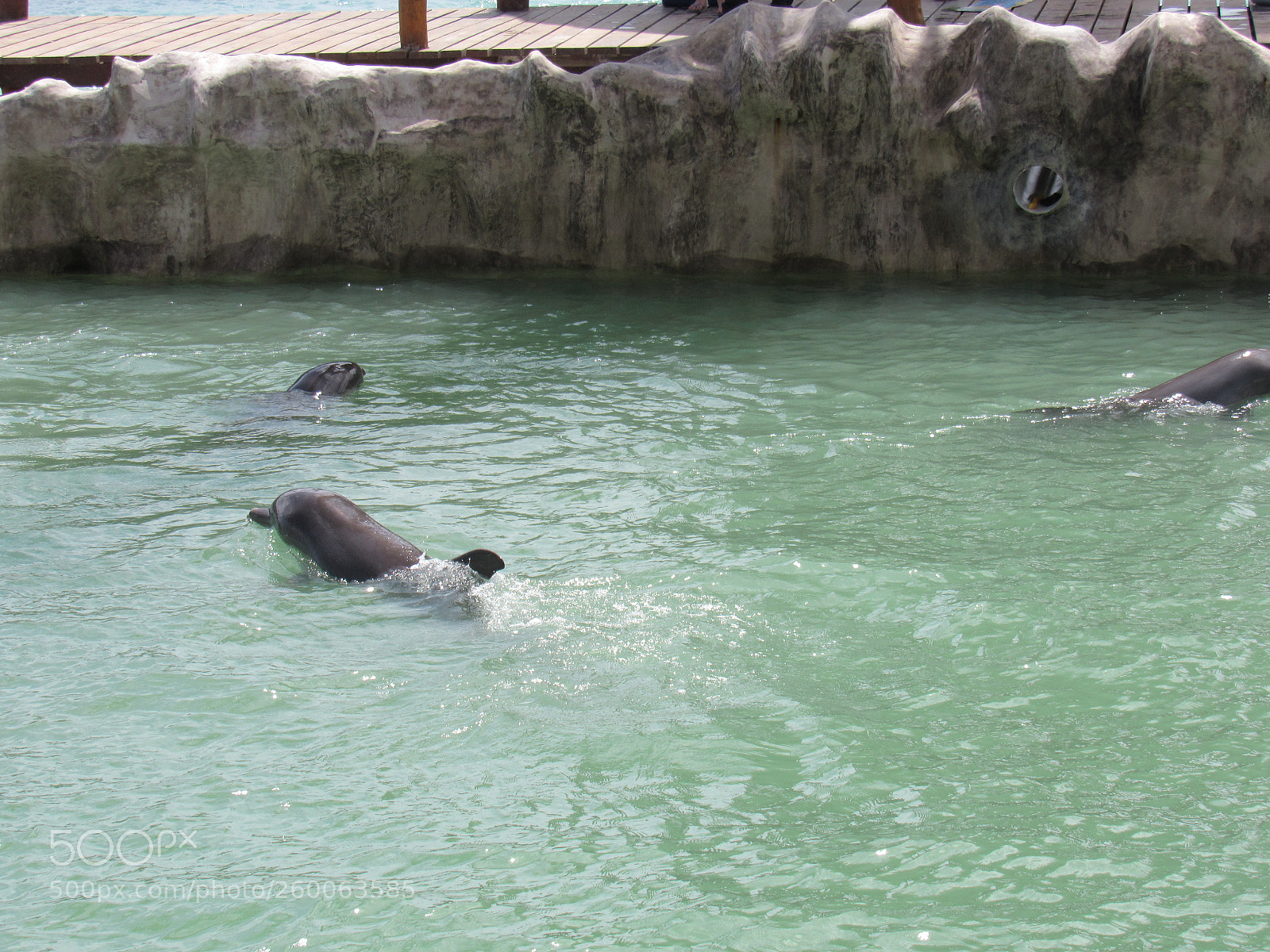Canon PowerShot SX530 HS sample photo. Img photography
