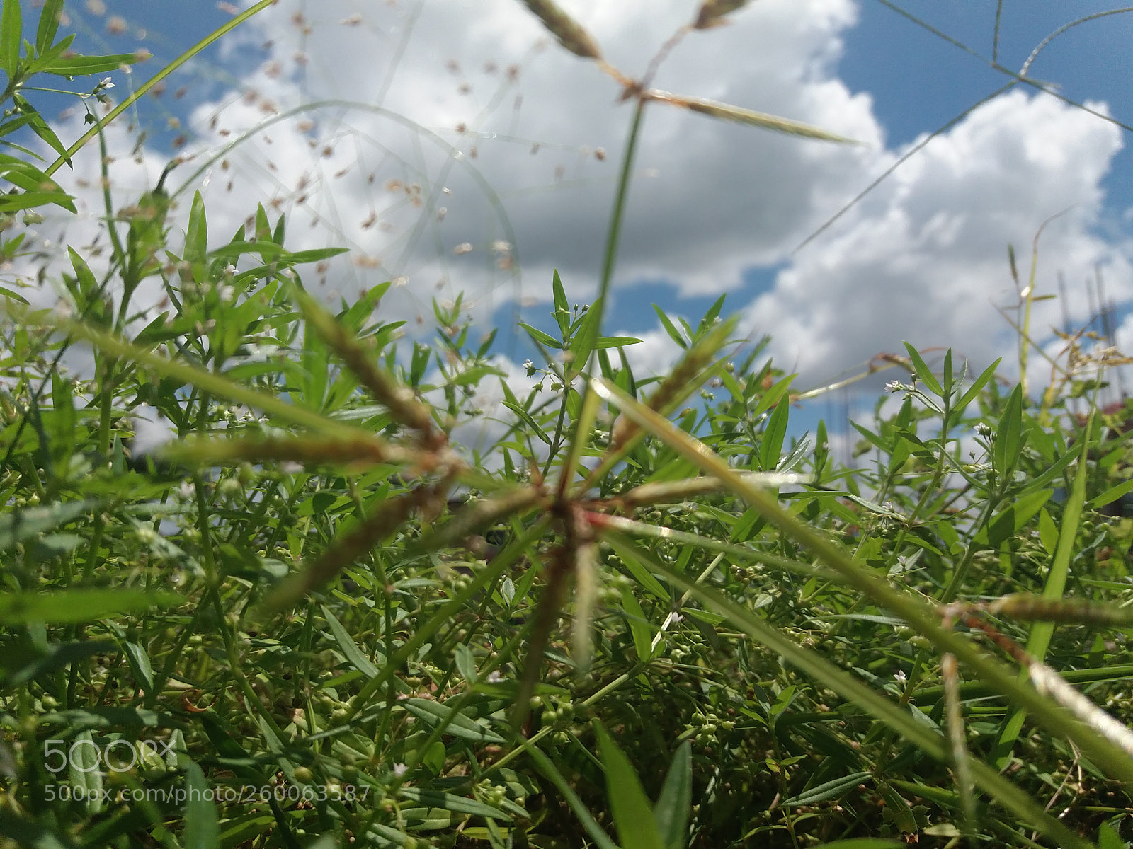 Samsung Galaxy J5(2016) sample photo. Untitled photography