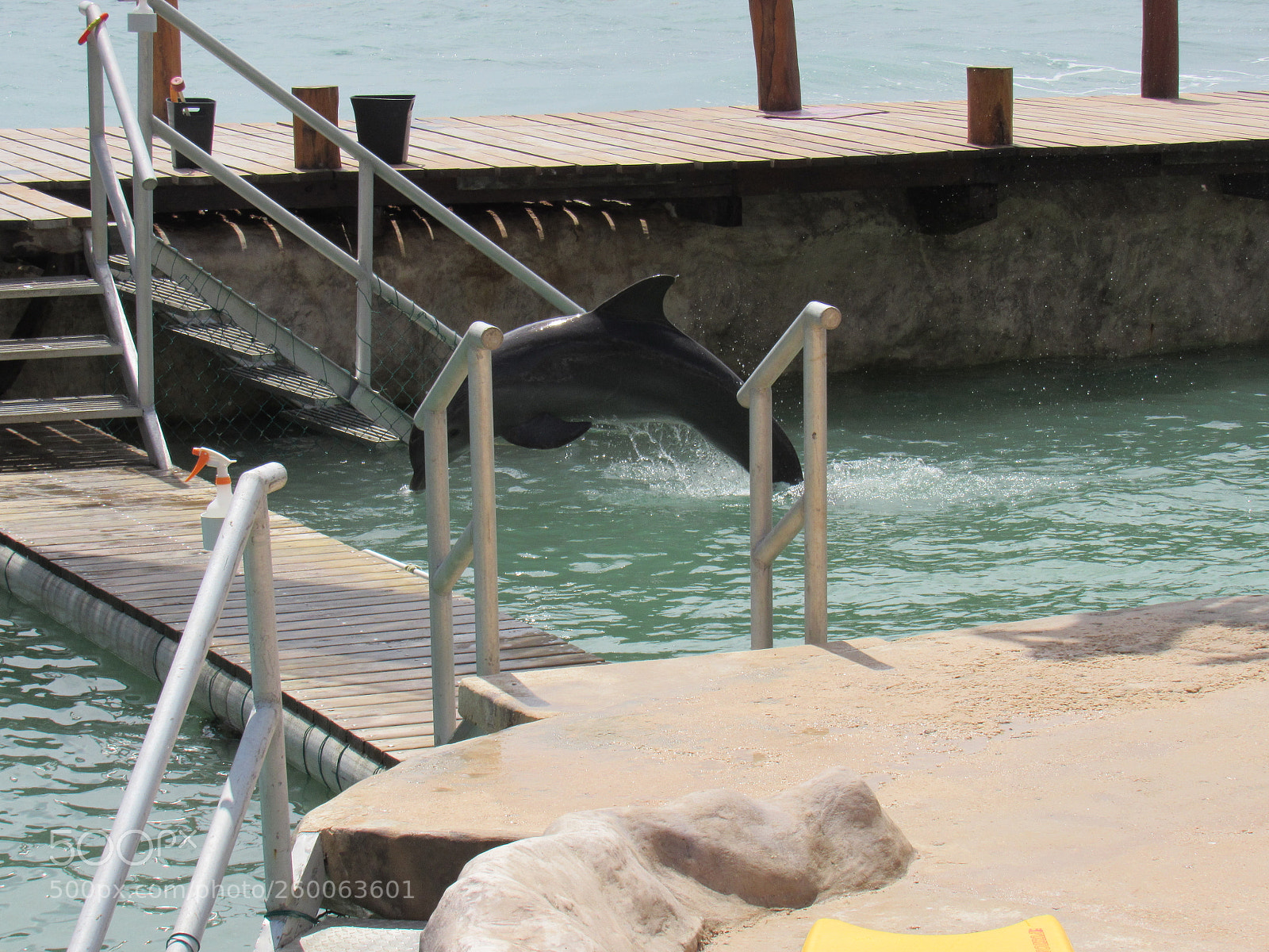 Canon PowerShot SX530 HS sample photo. Img photography