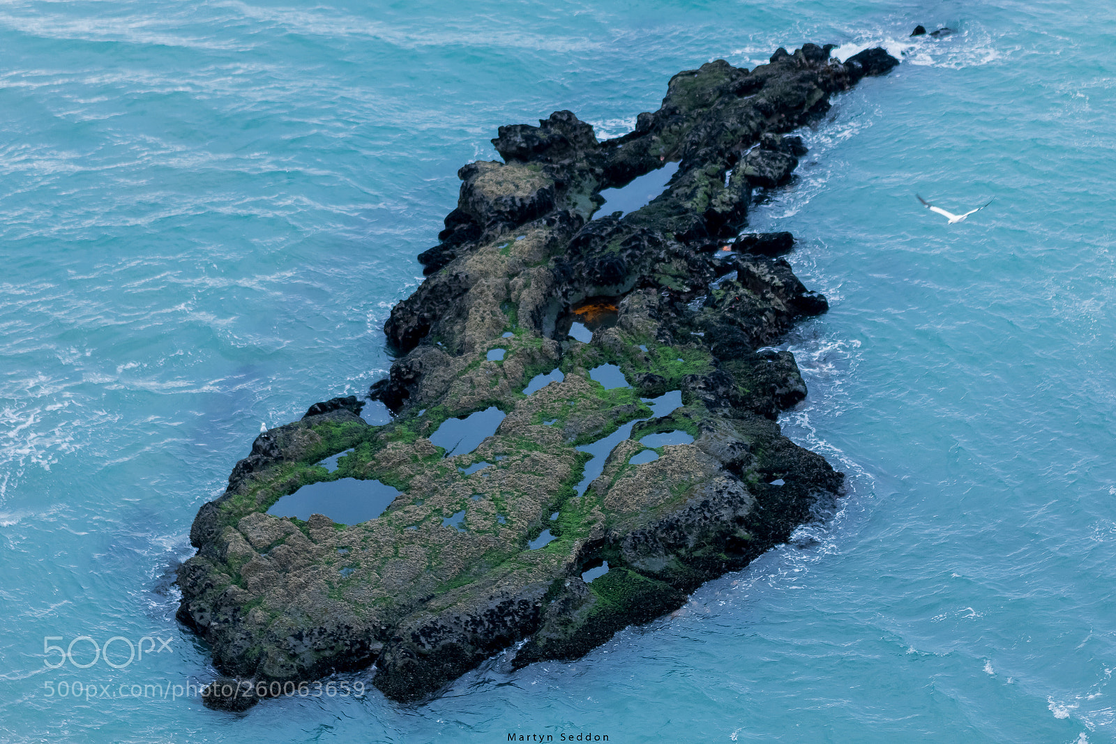 Canon EOS 7D Mark II sample photo. Muriwai island photography