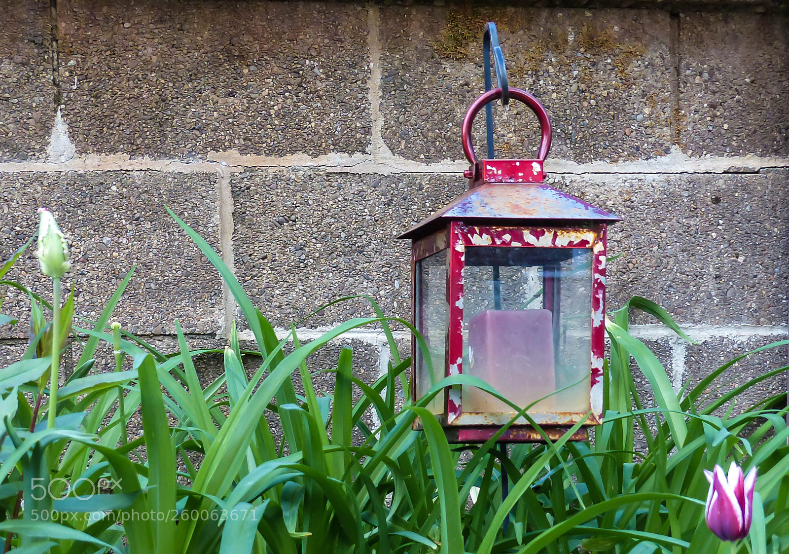 Panasonic Lumix DMC-FZ200 sample photo. Candle in the garden photography