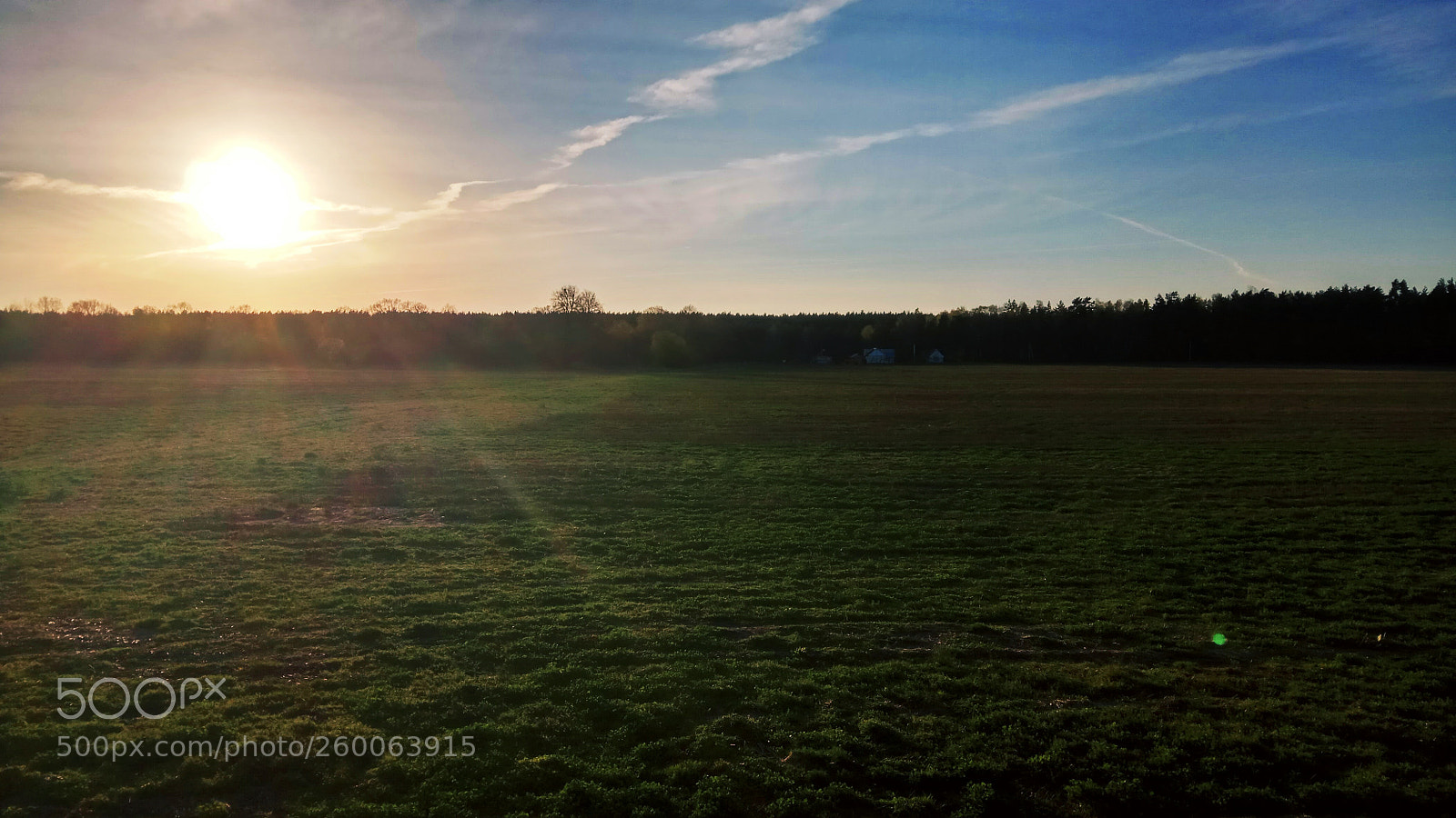 Xiaomi Redmi Note 4 sample photo. Untitled photography