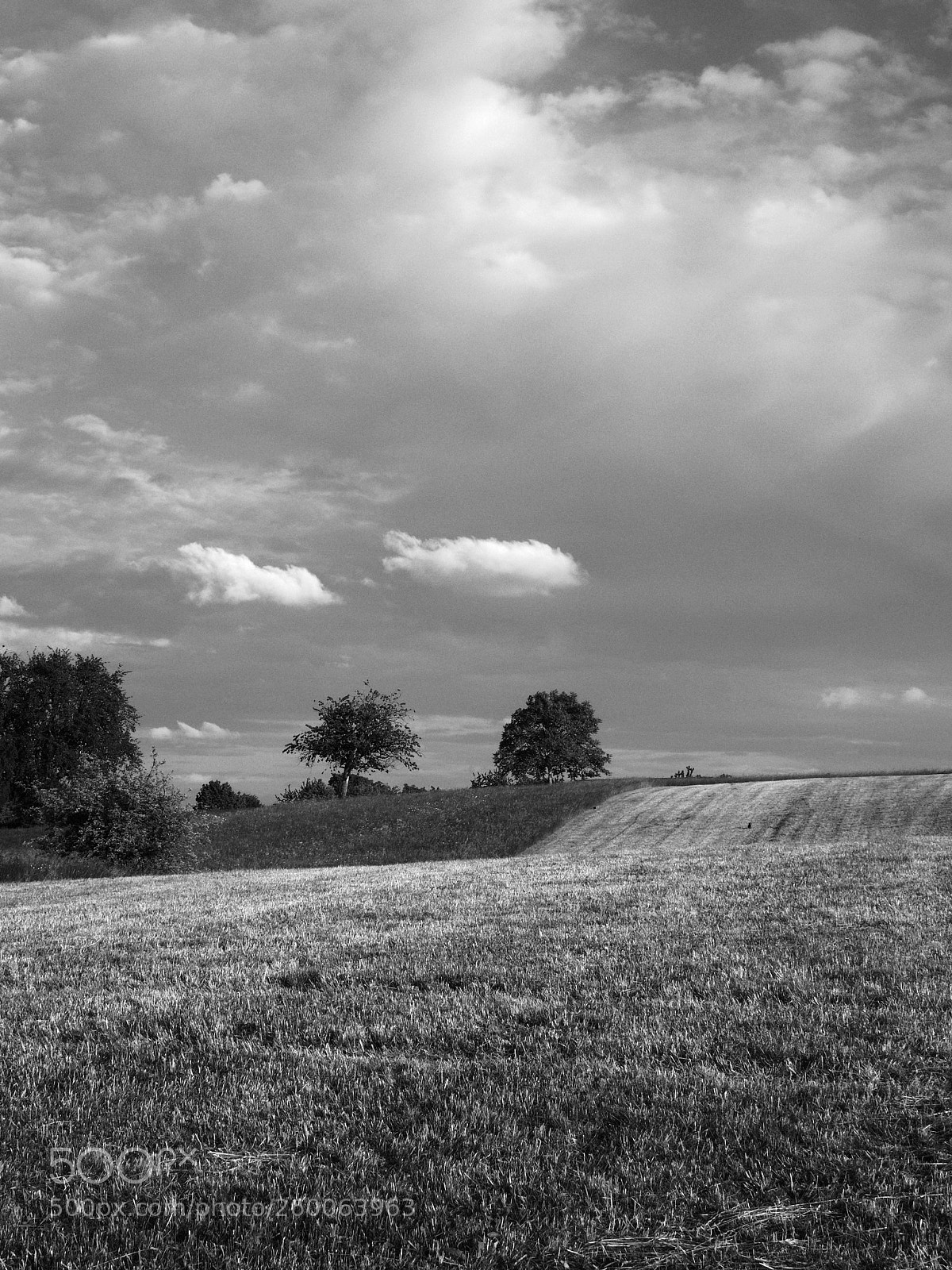Olympus OM-D E-M10 II sample photo. In wehr. view from photography