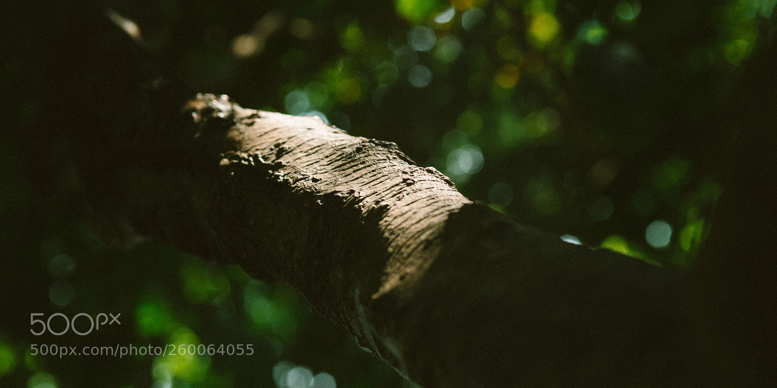 Canon EOS 70D sample photo. Untitled photography