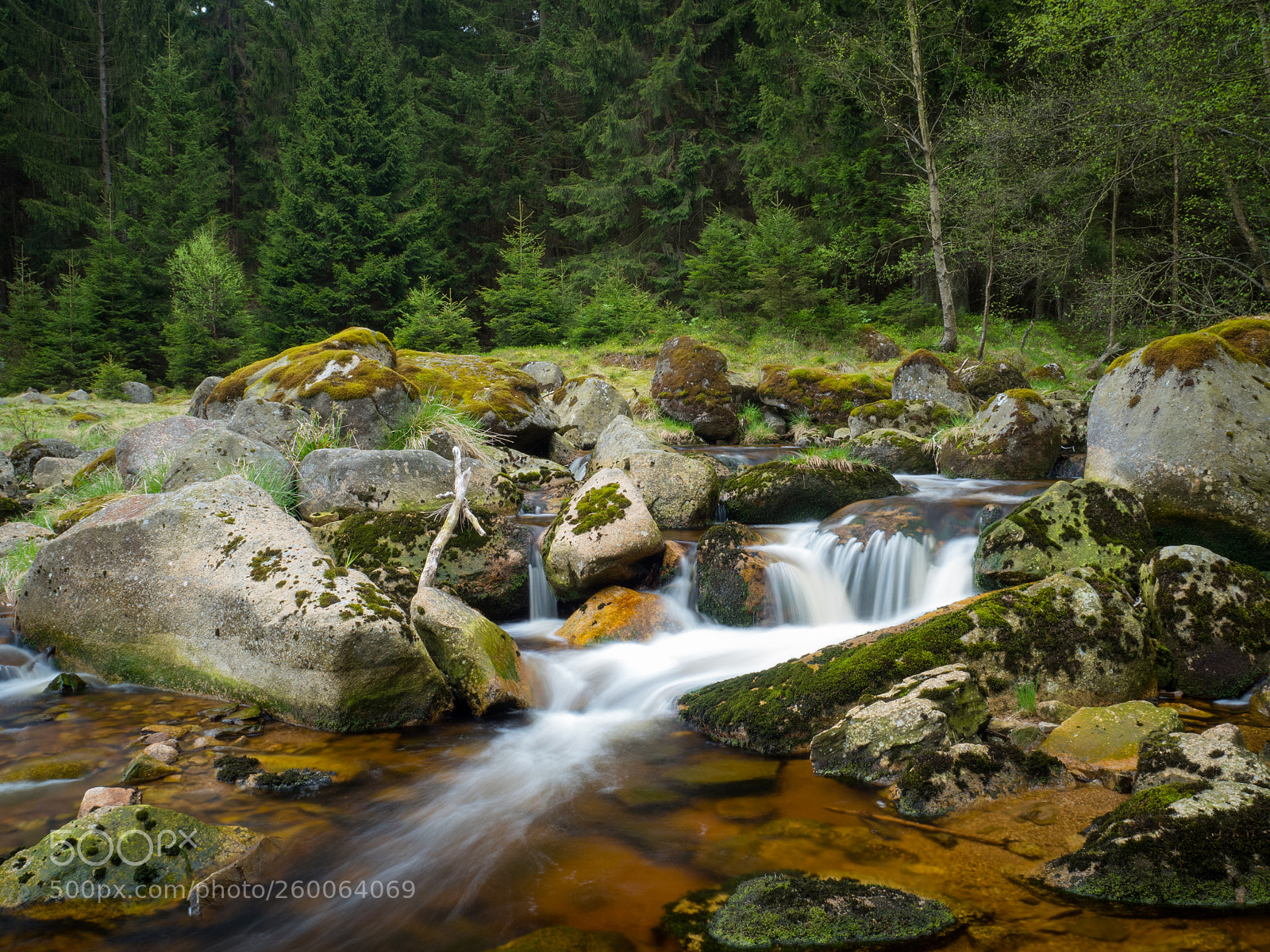 Olympus OM-D E-M5 II sample photo. Bachlauf photography