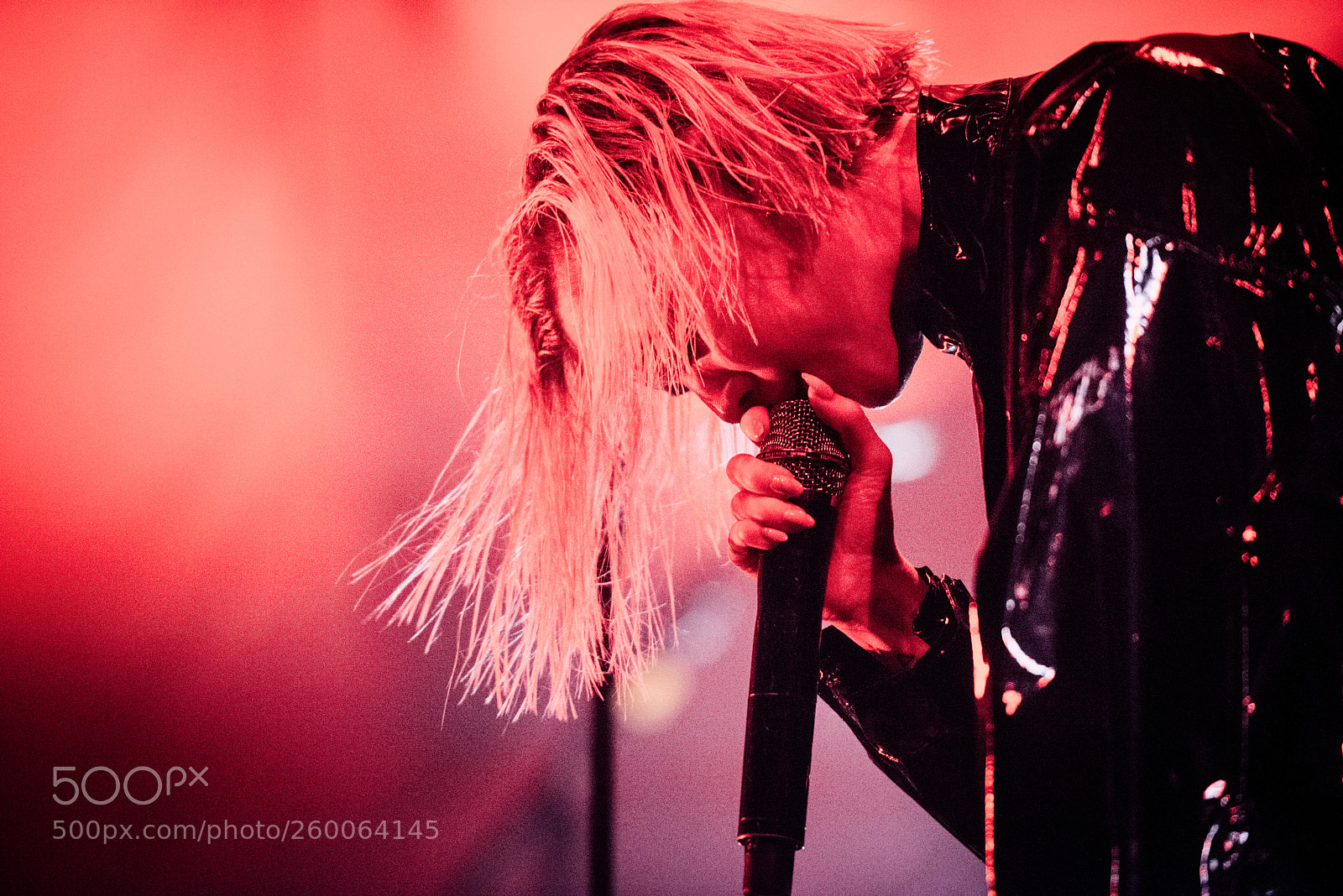 Nikon D800 sample photo. Lykke li photography