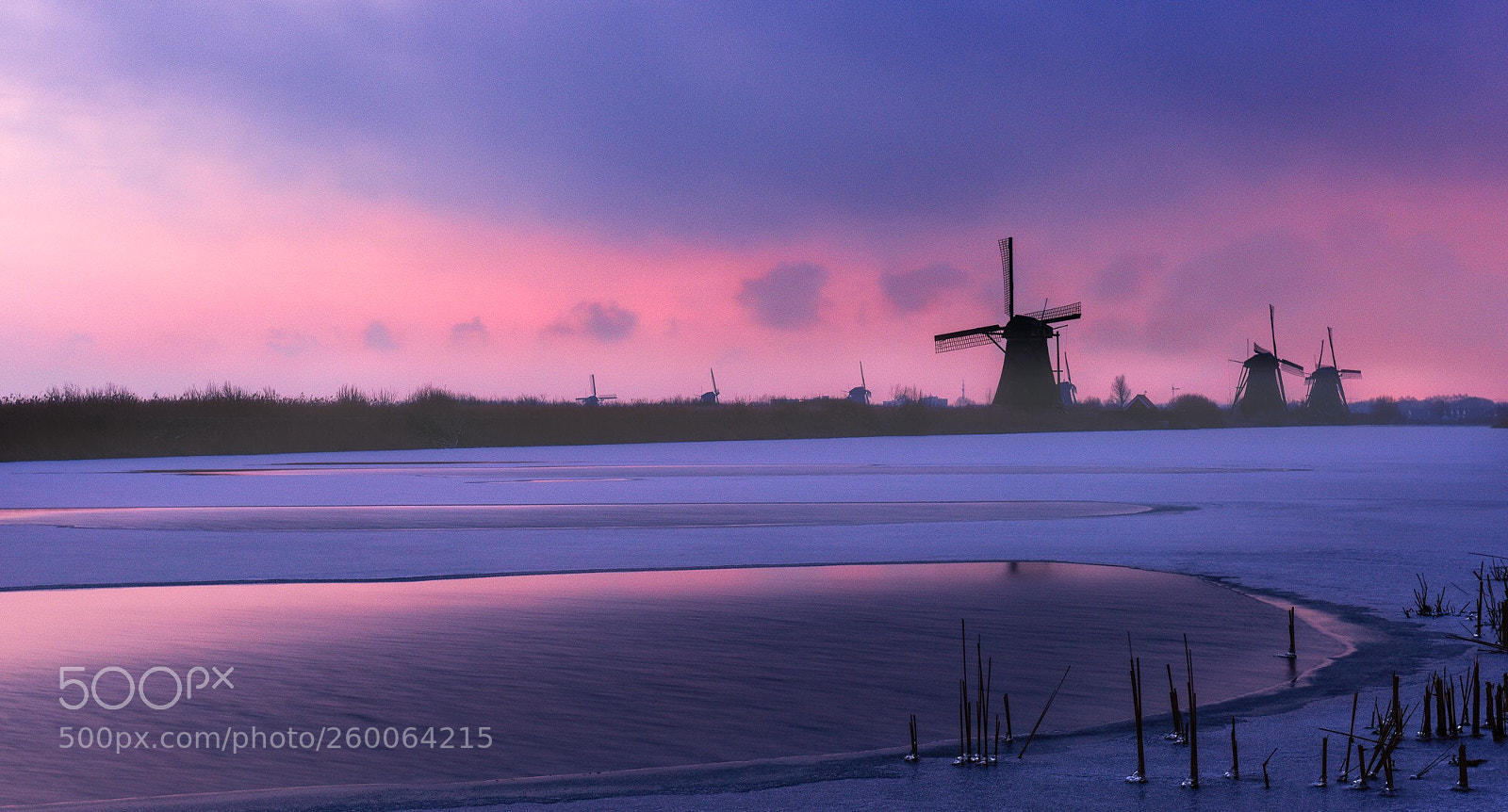 Nikon D810 sample photo. Pink morning  photography