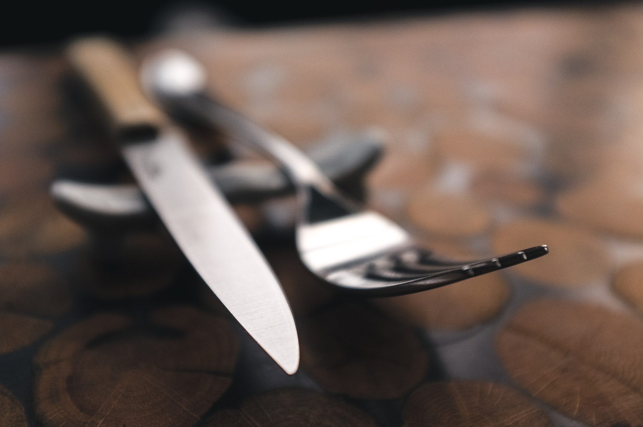 Fujifilm FinePix X100 sample photo. Fork and steak knife macro photography