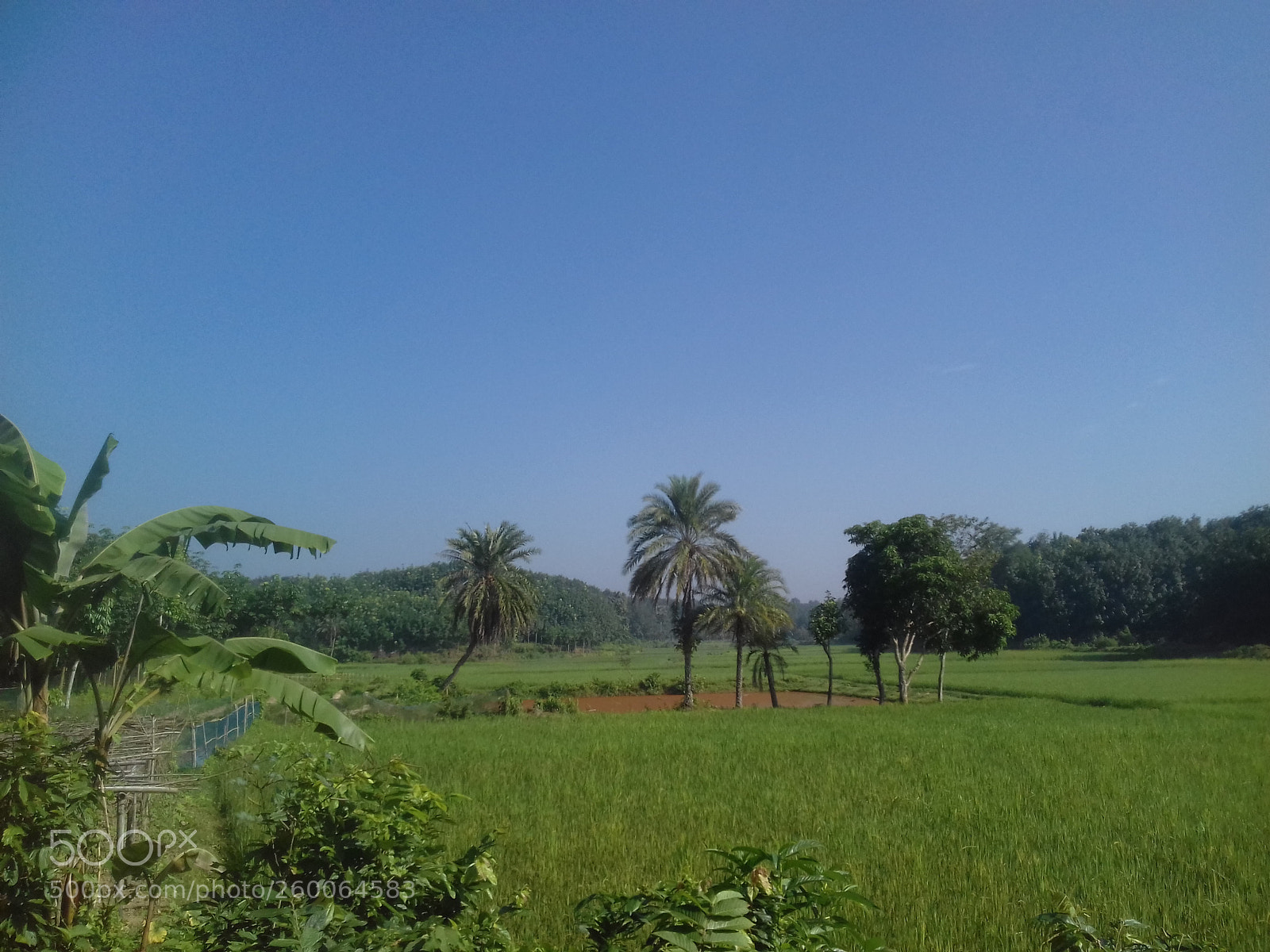 Samsung Galaxy Grand Prime sample photo. Untitled photography