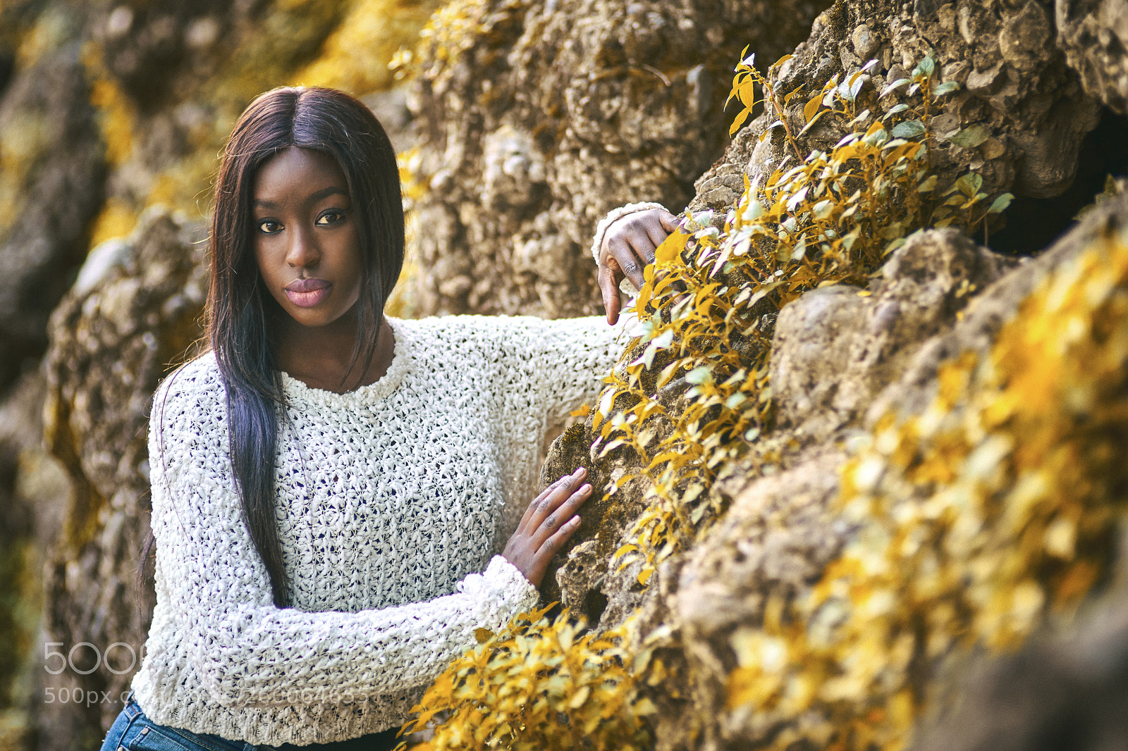 Nikon D800 sample photo. Autumn photography